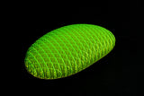 Large Morf Fidget Worm - Green