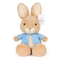 11" Peter Rabbit with Large Feet