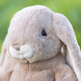 Bukowski Bears Lovely Kanini Bunny - Taupe